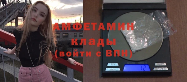 индика Абаза