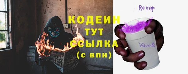 индика Абаза