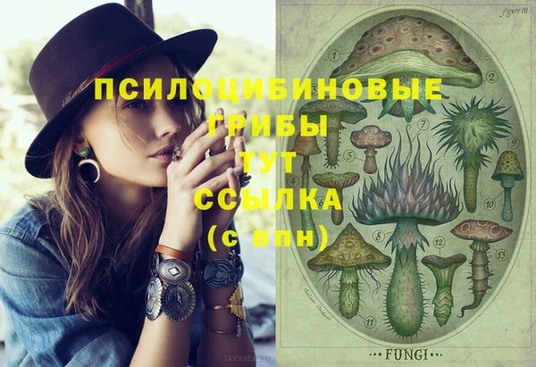 сатива Абдулино