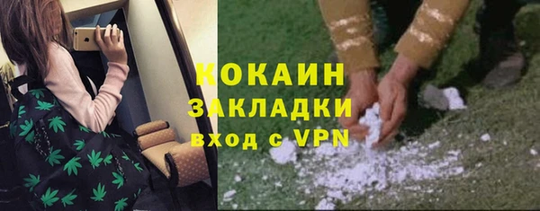 сатива Абдулино