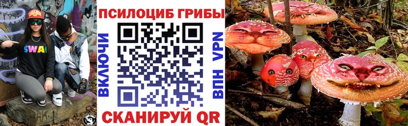 Галлюциногенные грибы MAGIC MUSHROOMS  hydra как зайти  Урюпинск 