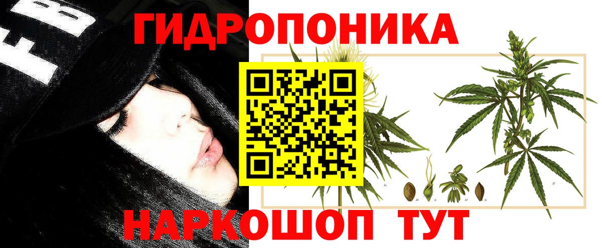 МАРИХУАНА конопля Урюпинск